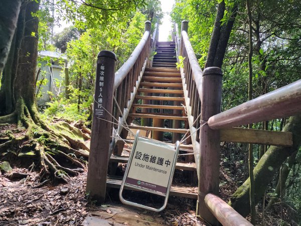 小百岳No.22⛰東眼山2568795