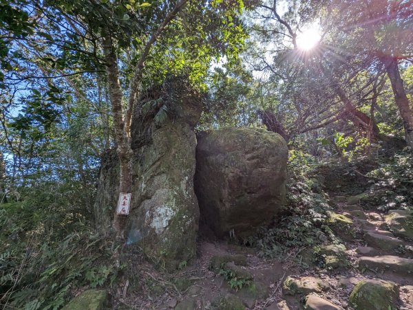 【小百岳024】桃園 石門山 順遊薑母島1911419