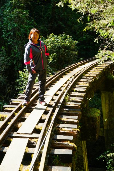 傳說中的眠月線舊鐵道浪漫且復古哦805334