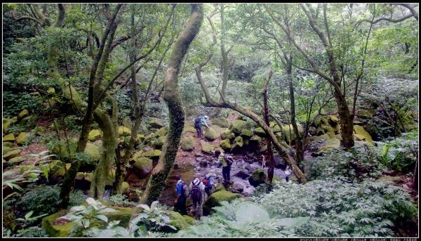 小觀音山群峰、大屯溪古道258577