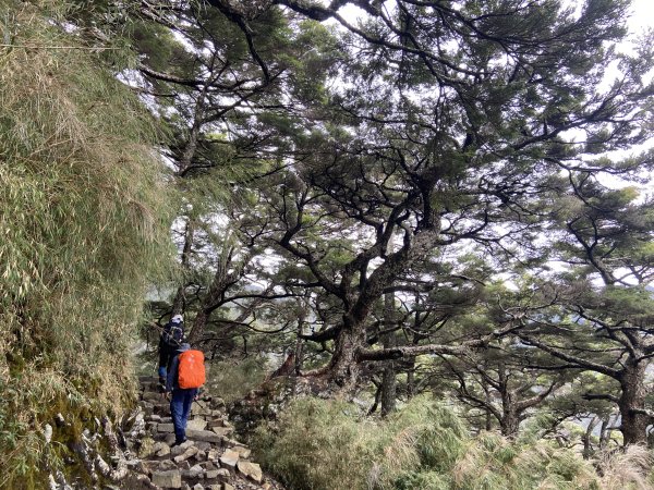 20230515-16玉山前西峰+遠望雨中的主東北2436686