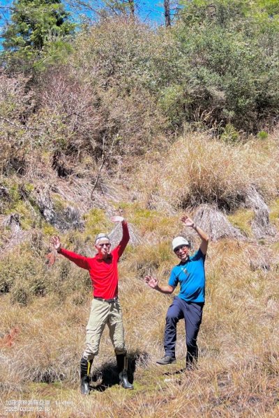 大同加羅湖穆魯洛亞滬庫霞四季警備道2748288