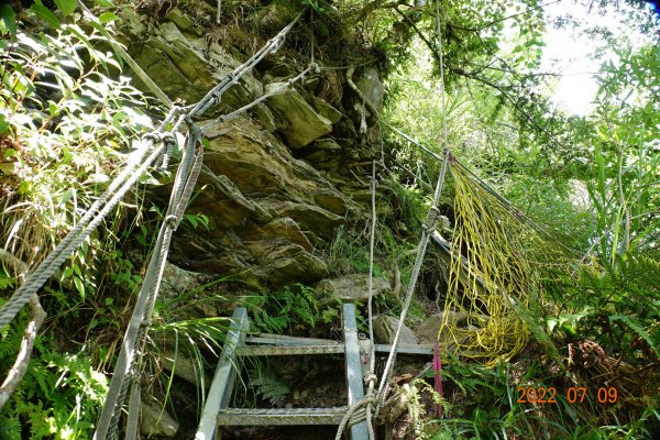 花蓮 秀林 羊頭山1761402