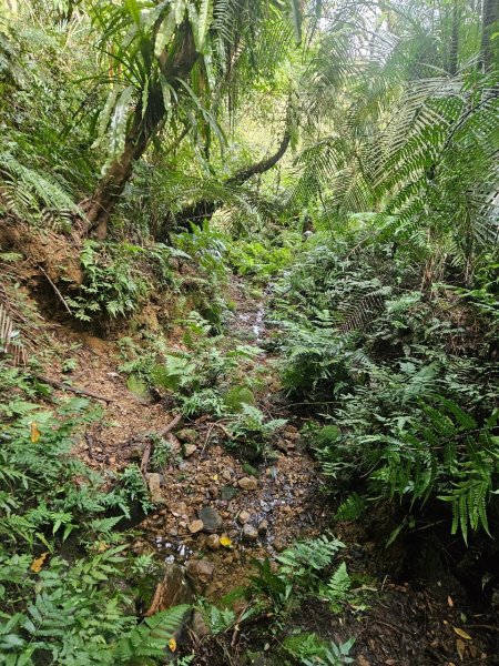 20250105隆盛山-煤渣山-雙溪口山主東峰-排寮尖-十八重溪山2683210