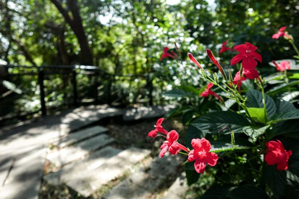 和美山｜新店碧潭步道2892087