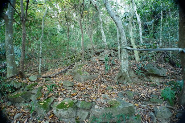 苗栗 卓蘭 大克山2967895