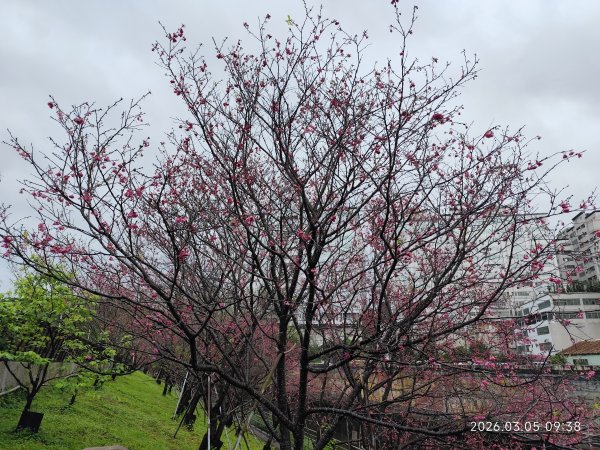 東湖樂活公園→內溝溪步道→五分埤生態濕地→內溝溪生態展示館、花博公園圓山園區→撫順公園3031534