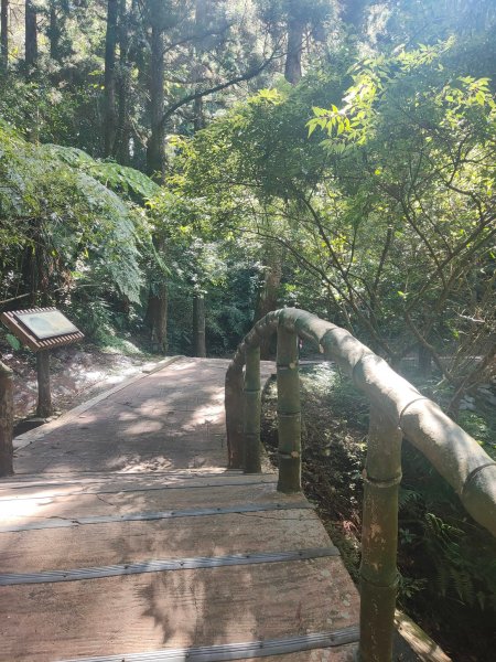 東眼山自導式步道1553183