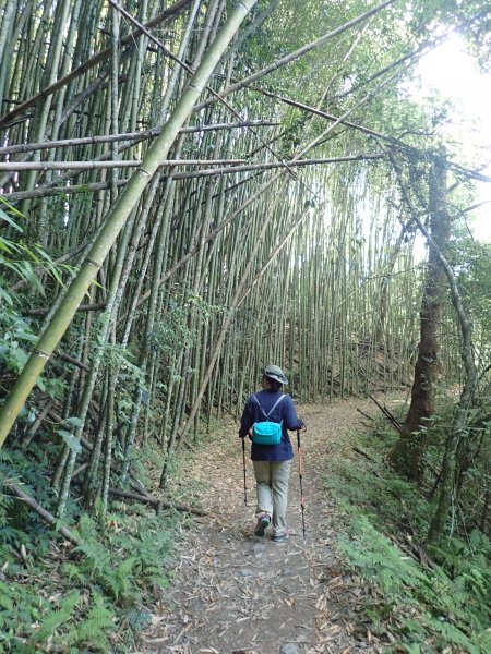 漫遊霞喀羅古道1158669