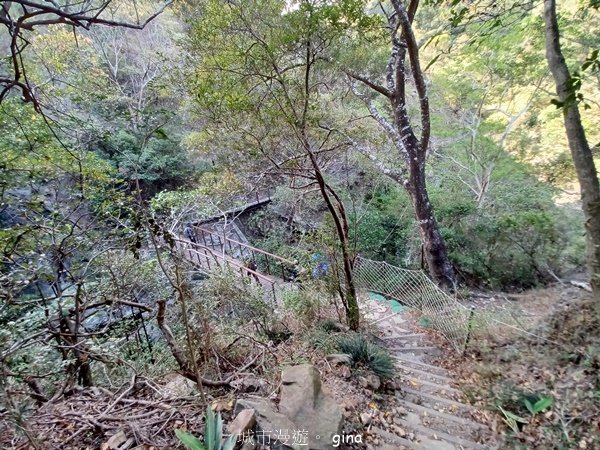 【屏東獅子鄉】海天一色。 台灣百大必訪步道~里龍山自然步道2550734