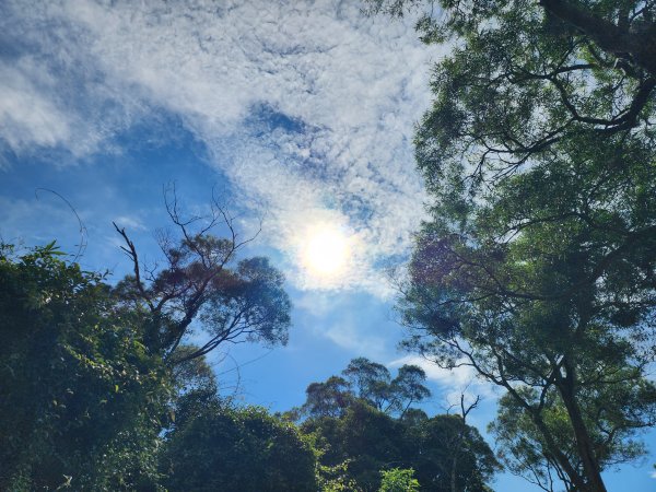 新竹新埔｜文山步道｜犁頭山2891122