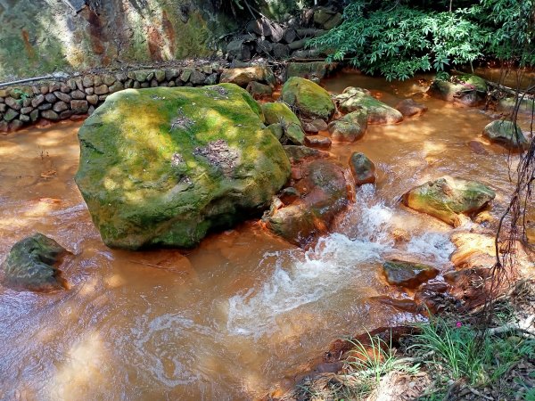 2-2 紗帽路旁磺溪祕境→白雲瀑布→陽明山前山公園→陽明醫院舊址1825886