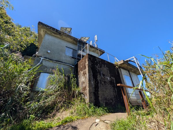 二訪阿里山國家森林遊樂區之大塔山對高岳之旅2991637