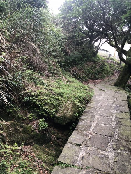 環七山人車分道-百拉卡到冷水坑2171392