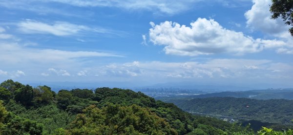 【2024觀音觀鷹尋寶任務】一日走完七條步道完成!2508396