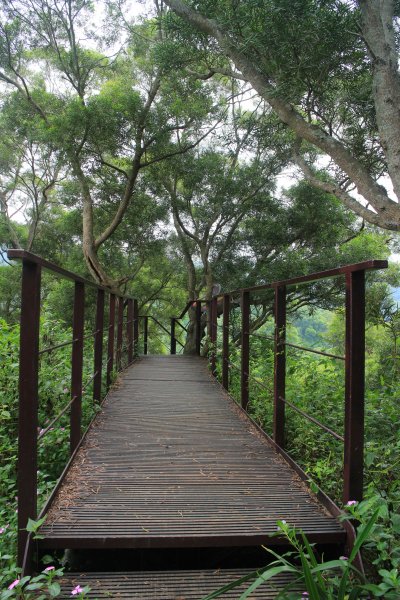 田中麒麟山森林步道 20190913691123