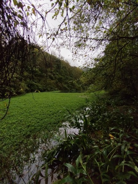 宜蘭員山鄉冷埤步道2650143