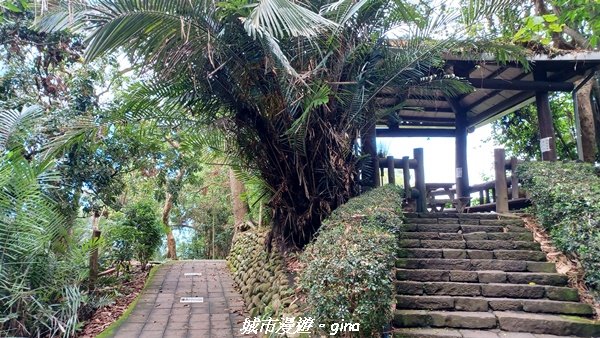 【南投草屯】蝴蝶紛飛可惜抵擋不了低海拔蚊子攻擊。 虎山步道x中興新村2856641