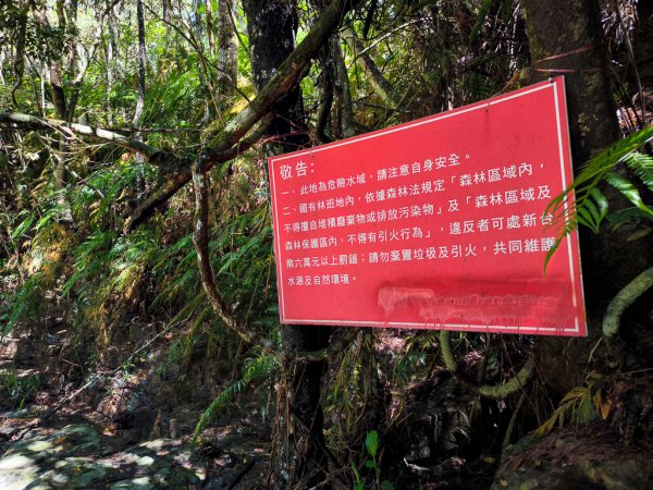 2024-08-22 澀水森林步道2578445