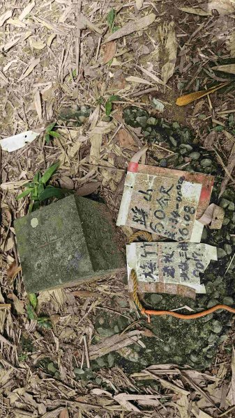 20250601梅竹蹊山-480峰-苕谷坑山