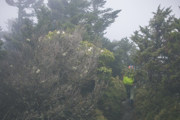 20230422-塔關山&關山嶺山2534294