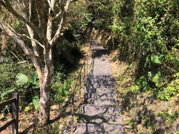 嘉義縣番路鄉二延平山1965531