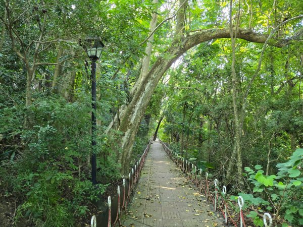 阿罩霧山、中心瓏步道（小百岳）2615684