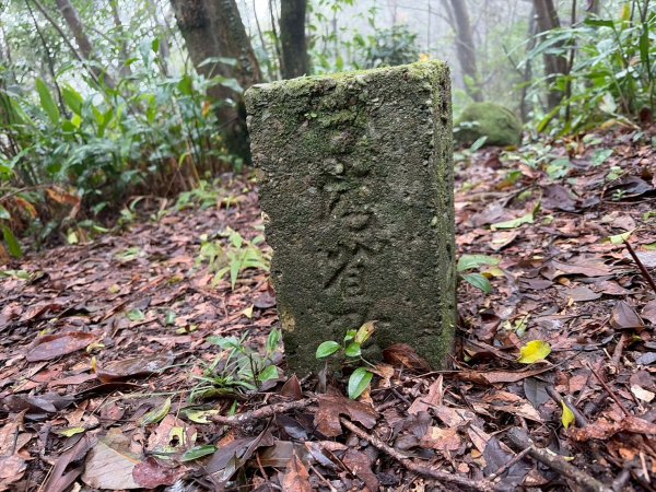 新北 汐止 柯子林橋-柯子林天然泳池-友蚋山南峰-友蚋山-新山-夢湖-柯子林橋2988391