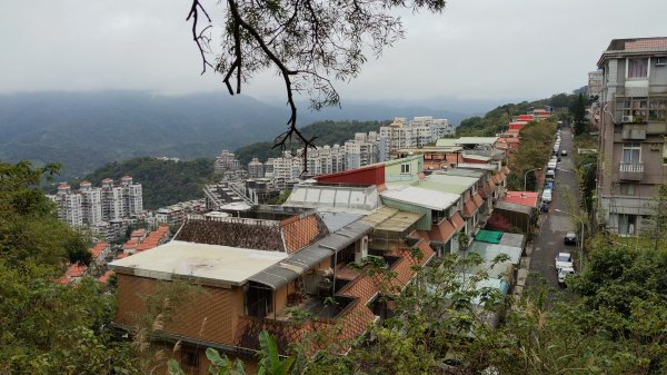 20230124_年初二_新店文筆山_土城清水大尖山_新加坡嶺_青龍嶺2011166