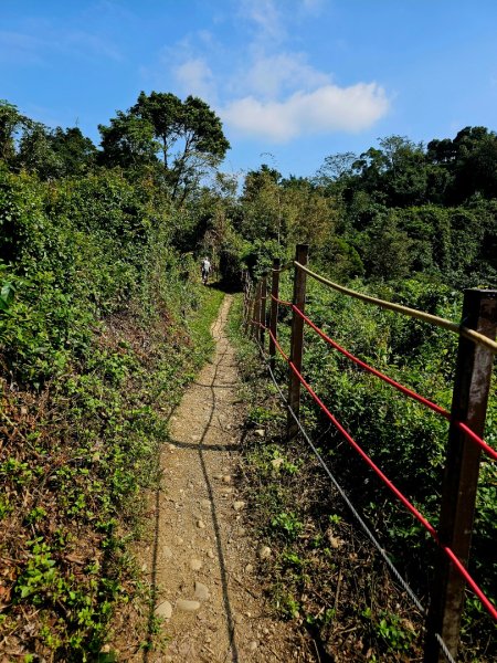 龍過脈森林步道-(雲林)臺灣百大必訪步道2661233