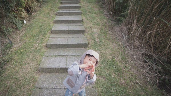 20200411-五分山步道918738