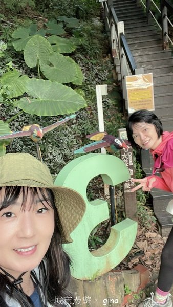 【台中北屯】第一次遇上大坑步道群起霧。 大坑三號步道2695149