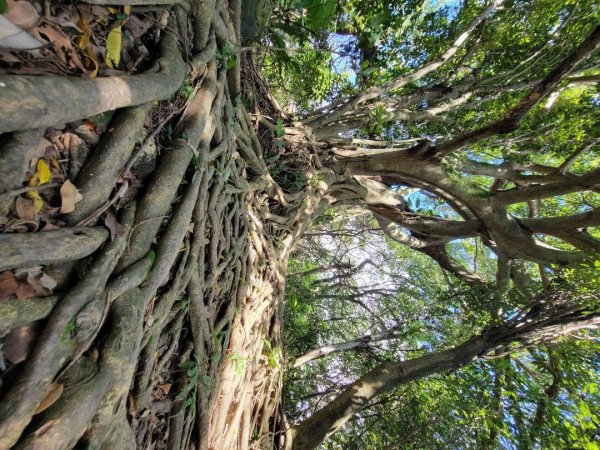 承天禪寺-天上山-南勢角-山烘爐地-202410192859610