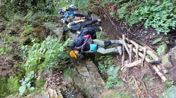 雙龍林道上巒安堂西巒大山1778661
