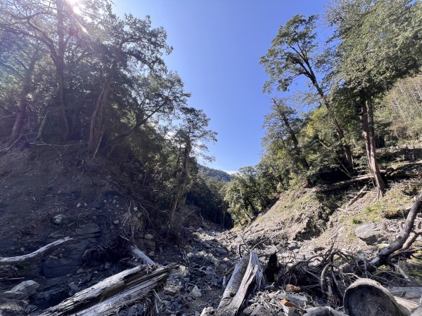 ~ 上帝的部落 - 司馬庫斯 ~3023518