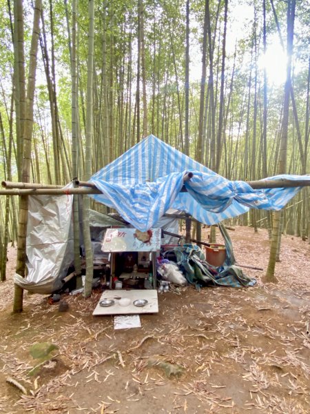 溪頭山、竹崙山、志騰山三山O型順撿內湖山  2024/5/312517741