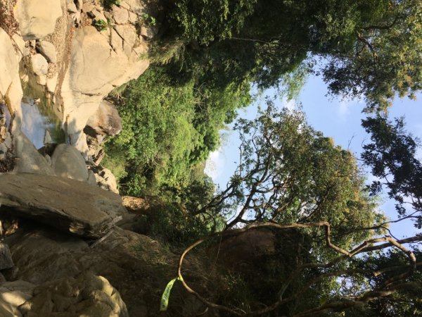 糖子恩山（鐵谷山宮2752027