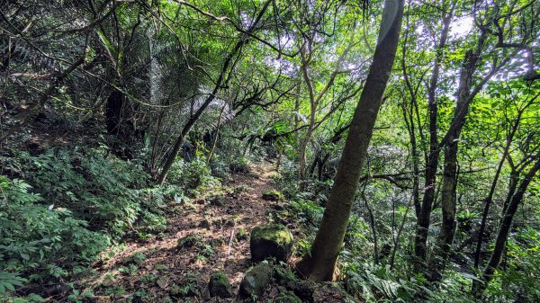 石笋古道,遇見雞母嶺2340715