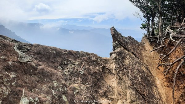 《新竹》斷崖神木｜北得拉曼步道小P繞202510172917518