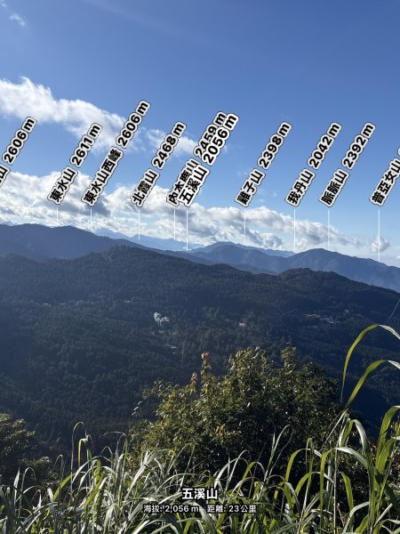 20251225塔山步道(大塔山)2970384