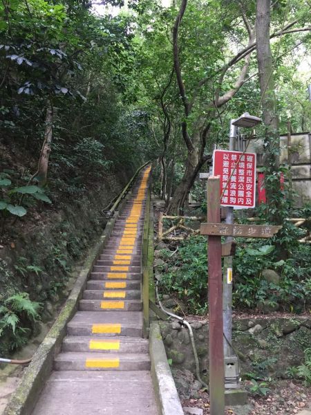 新莊青年公園淨山392584