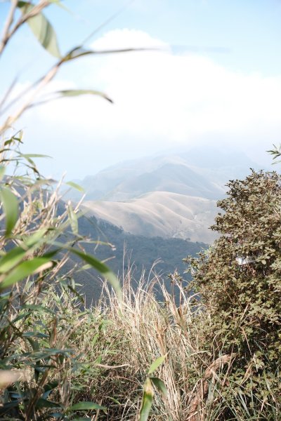 20250228小觀音山小小y2755472