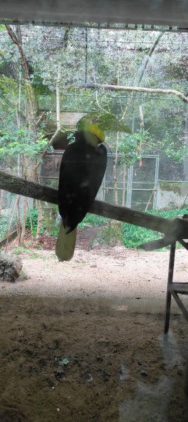 杭州動物園3089148