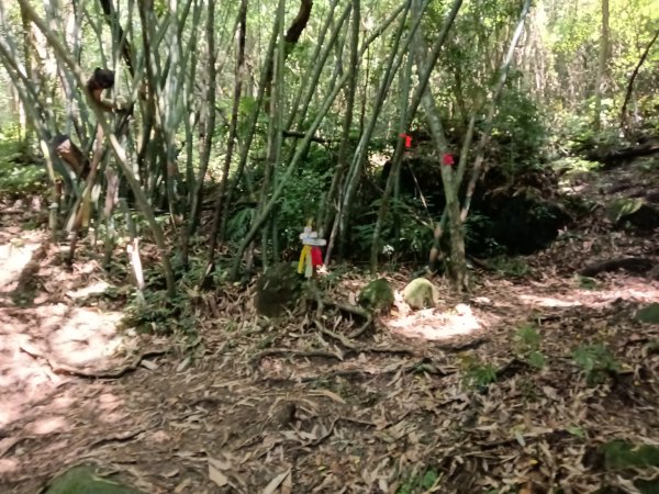 內湖區大丘田保甲路+開眼山+白石湖山+白石湖山東峰+大邱田山+消防山O型2858882