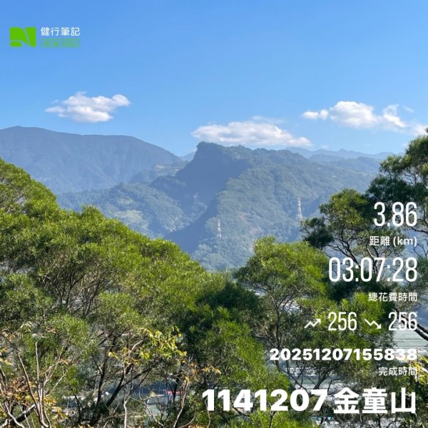 1141207金童山2957742