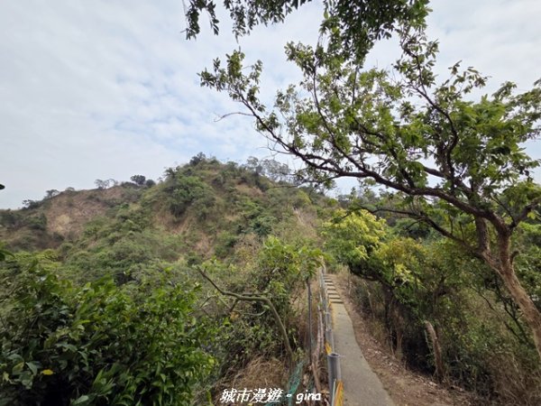 【高雄大社】小百岳大社觀音山步道3013133