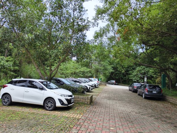 [百山百鳥尋旅-08/15] 2025_0831 大坑1號步道2876167