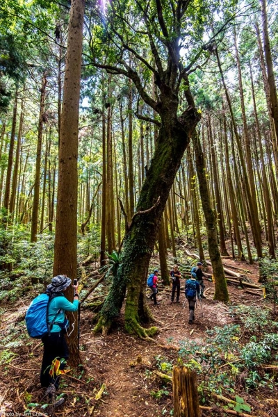 新竹五峰民都有山53561