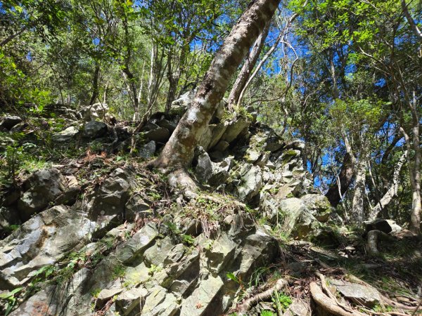 八仙山森林遊樂區、佳保台山2712662