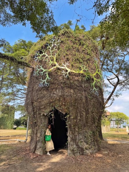 龍過脈森林步道2960927